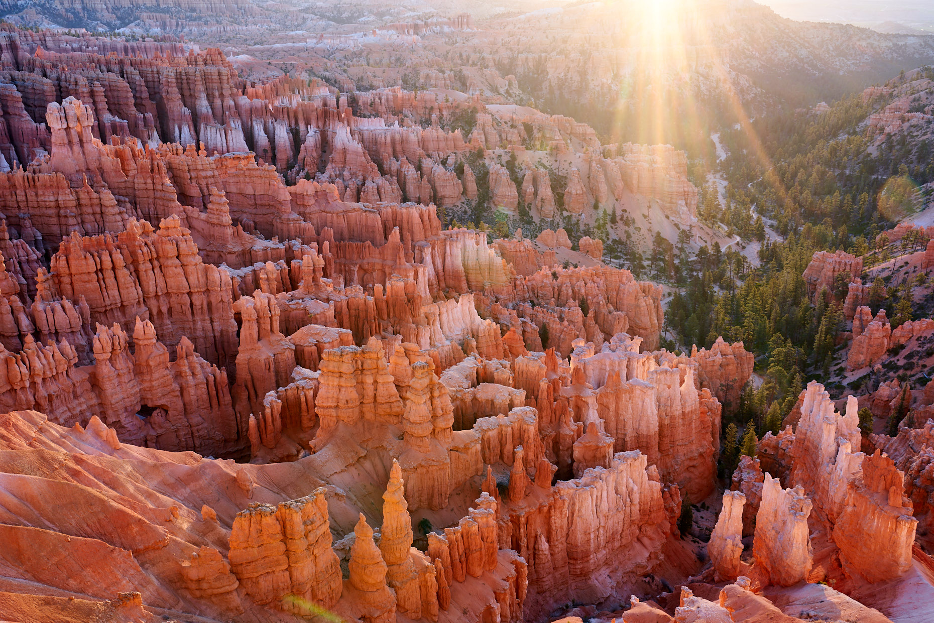 Bryce Morning Glow