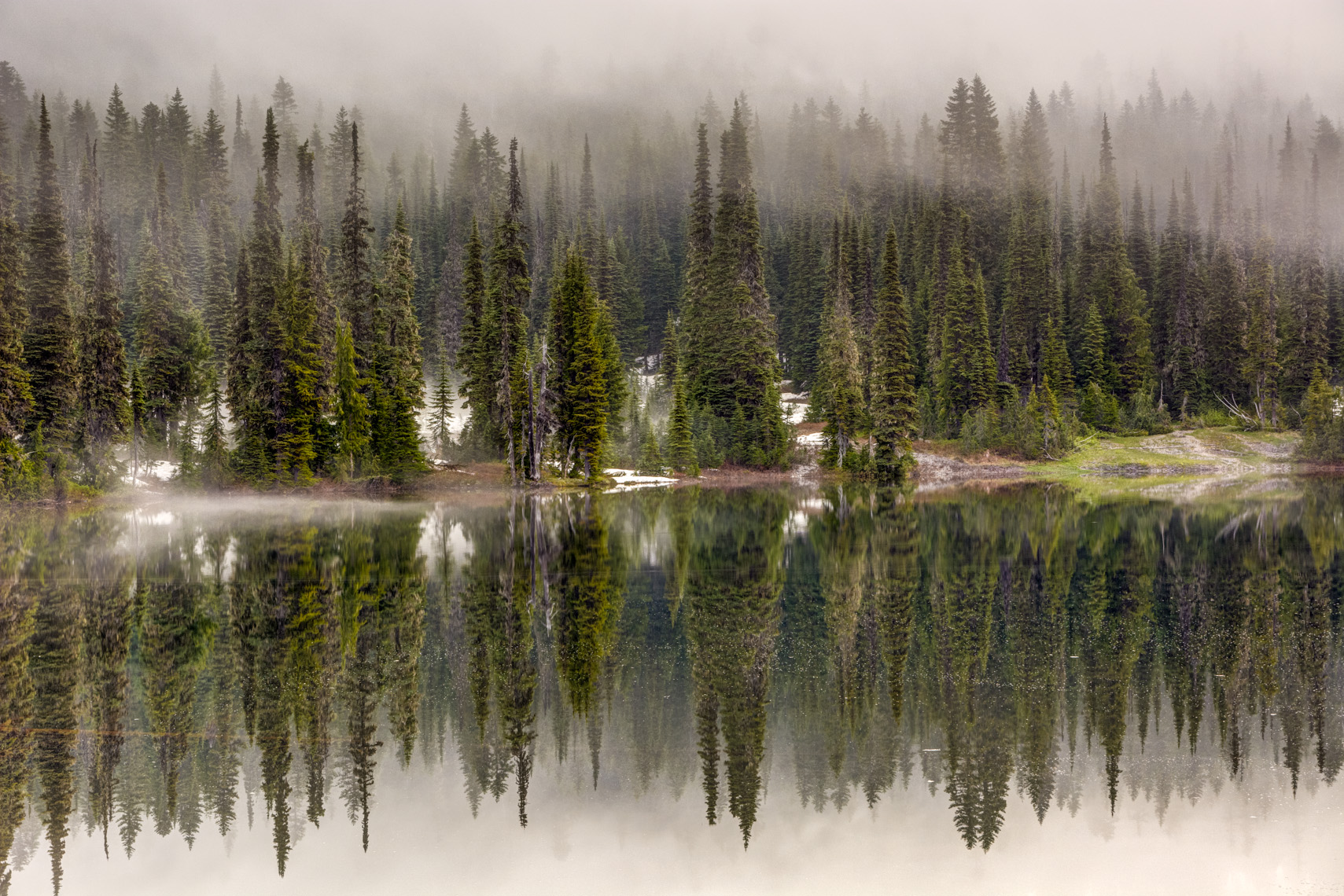 Foggy Reflections
