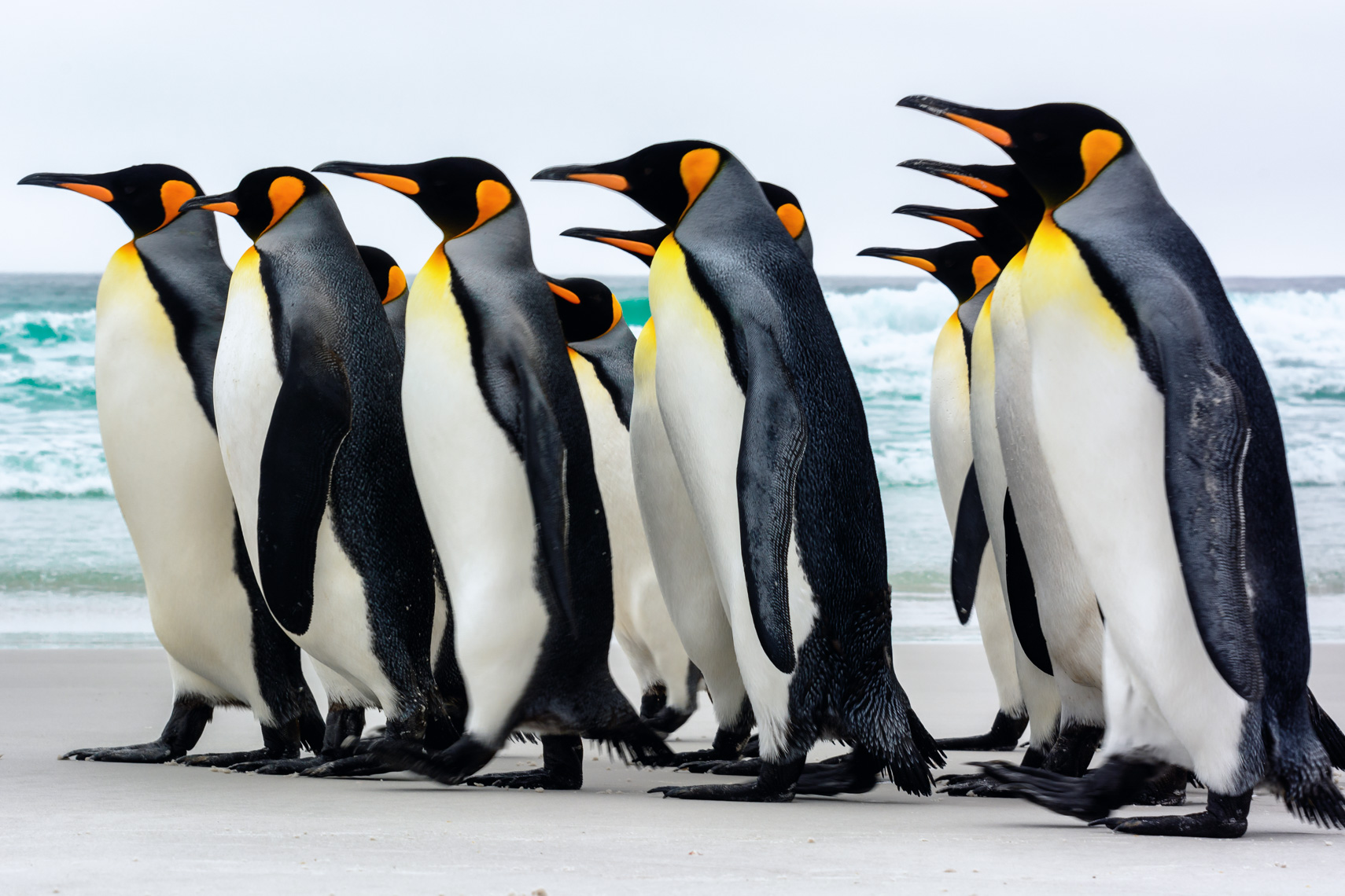 Kings in a Row