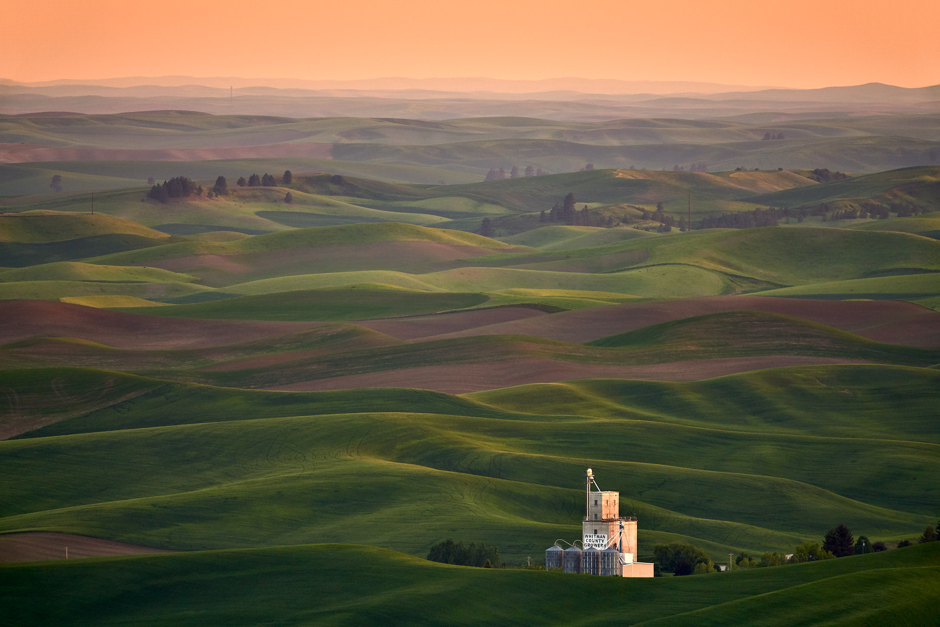 Palouse Sunset