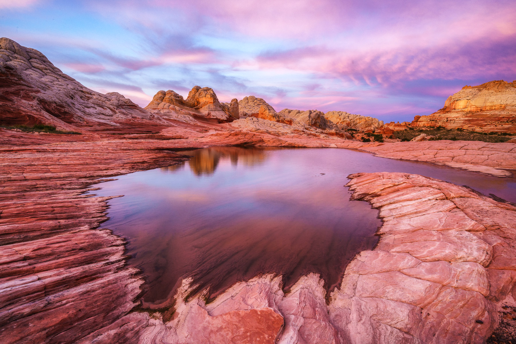 White Pocket Sunrise